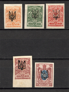 Ukraine Kharkiv Tridents Type 1 (Authenticity Unknown)