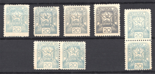 1945 Carpatho-Ukraine `20` (Varieties of Color, MNH)