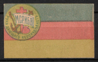 1917 To Soldiers Prisoners of War, Moscow, Russian Empire Cinderella, Russia