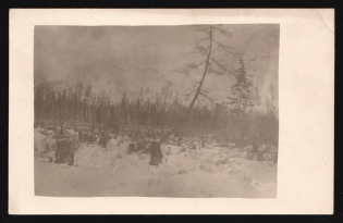 1917-1920 'Cuttings in the Siberian taiga', Czechoslovak Legion Corps in WWI, Russian Civil War, Postcard