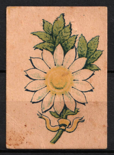 Flowers, Moscow, Russian Empire Cinderella, Russia