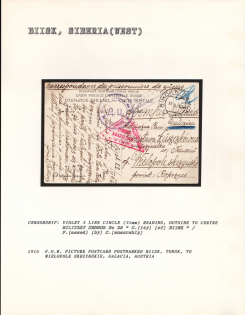 1916 P.O.W. Picture Postcard Postmarked Biisk, Tomsk, to Wielopole Skrzynskie, Galacia, Austria. BIISK Censorship: violet 3 line circle (31 mm) reading, outside to centre