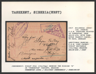 "1917 Bilingual (Russian, French) P.O.W. Postcard printed in Turkestan, from Aulie-Ata, with Turkestan Transit Cancel, to Vacz, Hungary. TASHKENT Censorship: violet oval (49 x 27 mm) Reading, showing the missing ""k"" in ""Turkestan"" variety, reading"