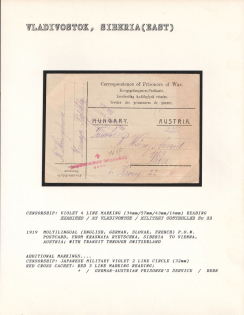 1919 Multilingual (English, German, Slovak, French) P.O.W. Postcard, from Krasnaya Ryetschka, Siberia to Vienna, Austria. with Transit through Switzerland. VLADIVOSTOK Censorship: violet 4 line marking (34mm/57mm/43mm/14mm) reading