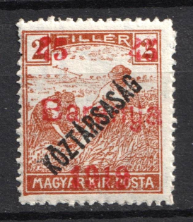 1919 45f Baranya, Hungary, Serbian Occupation, Provisional Issue (Mi. 11)