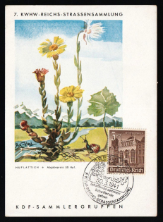 1941 'Coltsfoot', Propaganda Postcard, Third Reich Nazi Germany