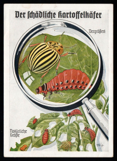 1933-1945 'The harmful potato beetle', Propaganda Postcard, Third Reich Nazi Germany