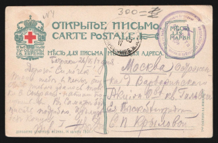 "1905 Russo-Japanese War seal ""68th Leib-Infantry Borodino Emperor Alexander III Regiment / 11th Company"" Red Cross St. Eugenia charity postcard PPC (painting Village) from Batraki to Moscow Russia"