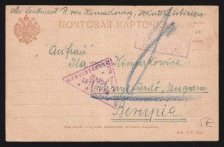 1914-17 Irkutsk Censorship, WWI Censored POW postcard from Irkutsk to Austria with violet boxed censor handstamp 'Viewed by censor 24' and Austria cs