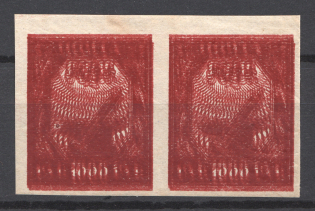1921 RSFSR Pair 1000 Rub (Multiply Printing, Print Error)