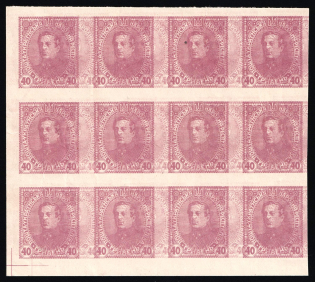 1920 40hrn Ukrainian Peoples Republic, Block (Kr. IX, Proof, Print on Polish Map, Two Sides Printing, INVERTED DOUBLE Printing, CV $100)