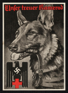 1941 'Our Loyal Bomerad', Propaganda Postcard, Third Reich Nazi Germany