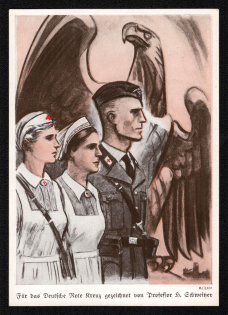 1939 'For the German Red Cross, Professor H. Schweizer', Propaganda Postcard, Third Reich Nazi Germany