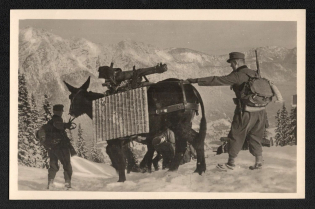 'Deutsche Wehrmacht Mountain Artillery Puts the Charged Guns into Position on Carrying Animals', Propaganda Postcard, Third Reich Nazi Germany