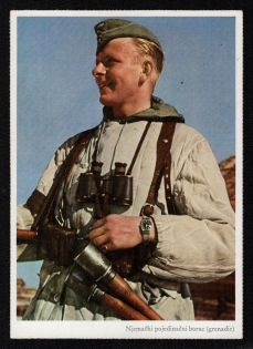 1944 'Njemacki Pojedinacni Borac (Grenadir)', Propaganda Postcard, Third Reich Nazi Germany