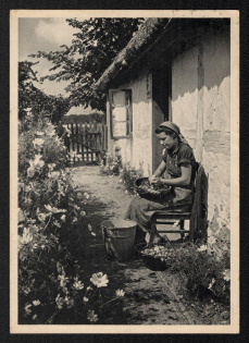 1940 'The Maid as a Loyal Helper of the Farmer', Propaganda Postcard, Third Reich Nazi Germany