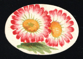 Fighting Tuberculosis Flowers, Odessa, Russin Empire Cinderella, Ukraine