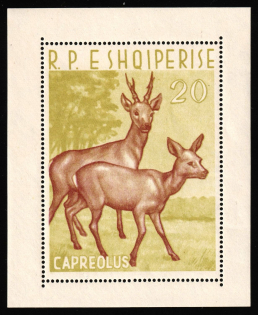 1962 Albania, Souvenir Sheet (Mi. Block 15, CV $155, MNH)