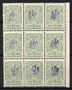 1918 2k Kiev (Kyiv) Type 1, Ukrainian Tridents, Ukraine, Block of Nine (Bulat 14, Margin, CV $45)