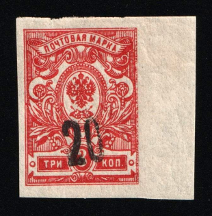 Black '20' on 3k Russian Empire, Russia, Civil War Unknown Local Private Issue (Imperforate, Margin, MNH)