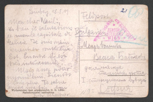 1917 Lemberg (Lvov) Censorship, WWI Censored postcard from Lvov to Bulgaria with blue letters handstamp 'Viewed by censor' and Vienna cs