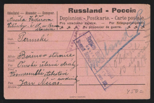 1917 Ekaterinburg Censorship, WWI Censored POW postcard to Austria with violet letters censor handstamp 'Opened by censor 203' and Vienna cs