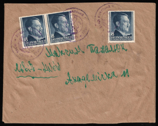 Nove Selo Ukraine, General Government stamps usage, Cover from Nove Selo to Lviv franked with 8pf, Germany (Mi. 65, Special Violet Handstamps)