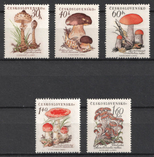 1958 Czechoslovakia (Full Set, MNH)