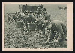 1933-1945 'Soldiers Help With the Potato Harvest' Wehrmacht, German Infantry Propaganda Postcard
