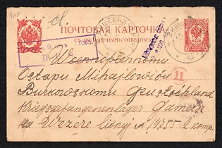 1917 (23 May) 3k+3k Censored Postal Stationery Double Postcard with the Paid Answer from Vyshenky, Russian Empire, Russia