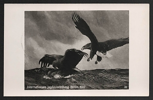 1937 'International Hunting Exhibition Berlin 1937' Airplane Nazi Propaganda Postcard