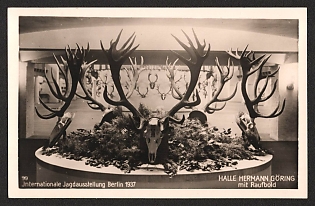1937 'International Hunting Exhibition Berlin 1937. Hermann Goring Hall with Brawler' Interior Nazi Propaganda Postcard