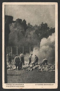 1952 Poland, Anti-Germany Propaganda, 'Oswiecim Brzezinka Auschwitz Birkenau', WWII