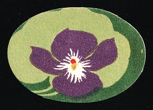 Fighting Tuberculosis Flowers, Odessa, Russian Empire Cinderella, Ukraine