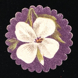 Fighting Tuberculosis Flowers, Odessa, Russian Empire Cinderella, Ukraine