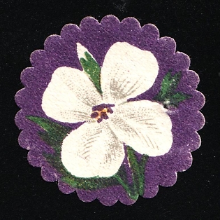 Fighting Tuberculosis Flowers, Odessa, Russian Empire Cinderella, Ukraine