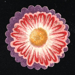 Fighting Tuberculosis Flowers, Odessa, Russian Empire Cinderella, Ukraine