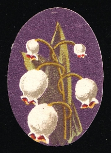 Fighting Tuberculosis Flowers, Odessa, Russian Empire Cinderella, Ukraine