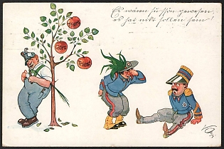 1914-1918 Austria, Anti-Switzerland Propaganda, 'It Would Have Been Sweet, but it Shouldn't Have Been!', WWI Caricature Postcard