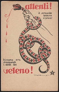 1914-1918 Italy, Anti-Germany Propaganda, 'Be Careful! The German Snake is Taken! We Must Now Knock Out Geleno's Teeth!', WWI Caricature Postcard