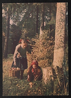 1954 'Mushroom Picking', Postal Stationery Postcard 40k published by Ministry of Communications of the USSR, Moscow, Soviet Union, Russia