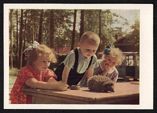 1963 'Young Naturalists', Postal Stationery Postcard 3k published by Ministry of Communications of the USSR, Moscow, Soviet Union, Russia