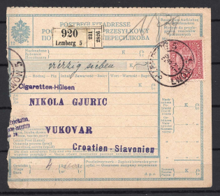 1918 Lviv Lwow Lemberg Ukraine Austria Parcel Form of Accompanying Address