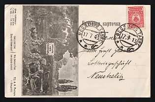 Feodosia A.K.Richter Vetenary Product Urpin, Card Showing Pigs Carrying a Banner Reading Urpin Saved Us, Illustrated Advertising Postcard, Russian Empire