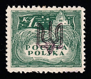 1919 1k Ternopil (Tarnopol), Ukraine, Polish Occupation (Signed)