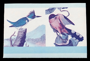 1985 55с Federation of Saint Kitts and Nevis, Pair, Trial Color Proof, Imperforate