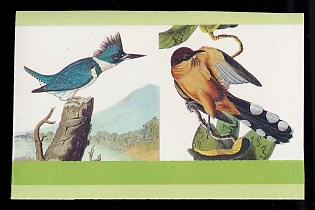 1985 55с Federation of Saint Kitts and Nevis, Pair, Trial Color Proof, Imperforate