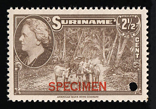 1945 2 1/2c Suriname, Netherlands Colonies, Specimen, Annulated