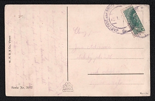 1919 (13 Jan) Czechoslovak Republic Postcard to Jablonné nad Orlicí (Czechoslovak Republic), franked with bisect 20h of Austria