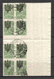 Kiev Type 3 - 2 Kop, Ukraine Tridents Cancellation Luchinets Minsk Gutter-Block